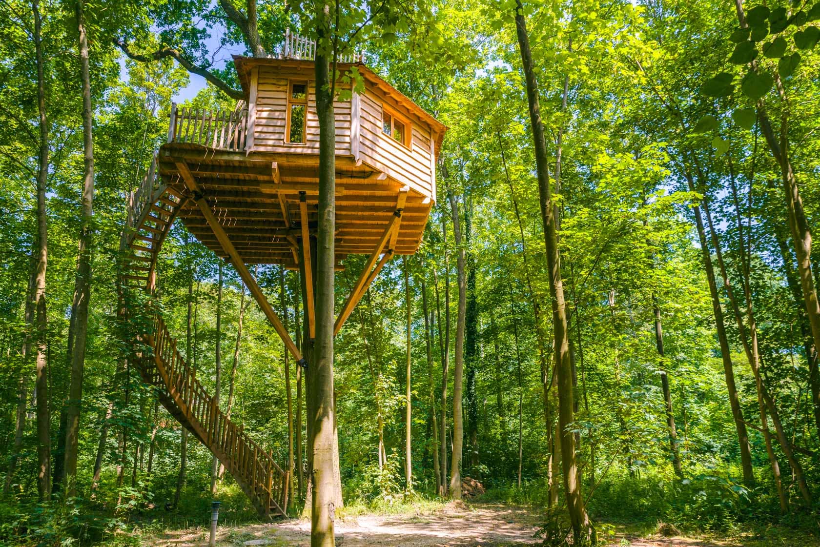 1606-01_05_canopee_cdgc_bd