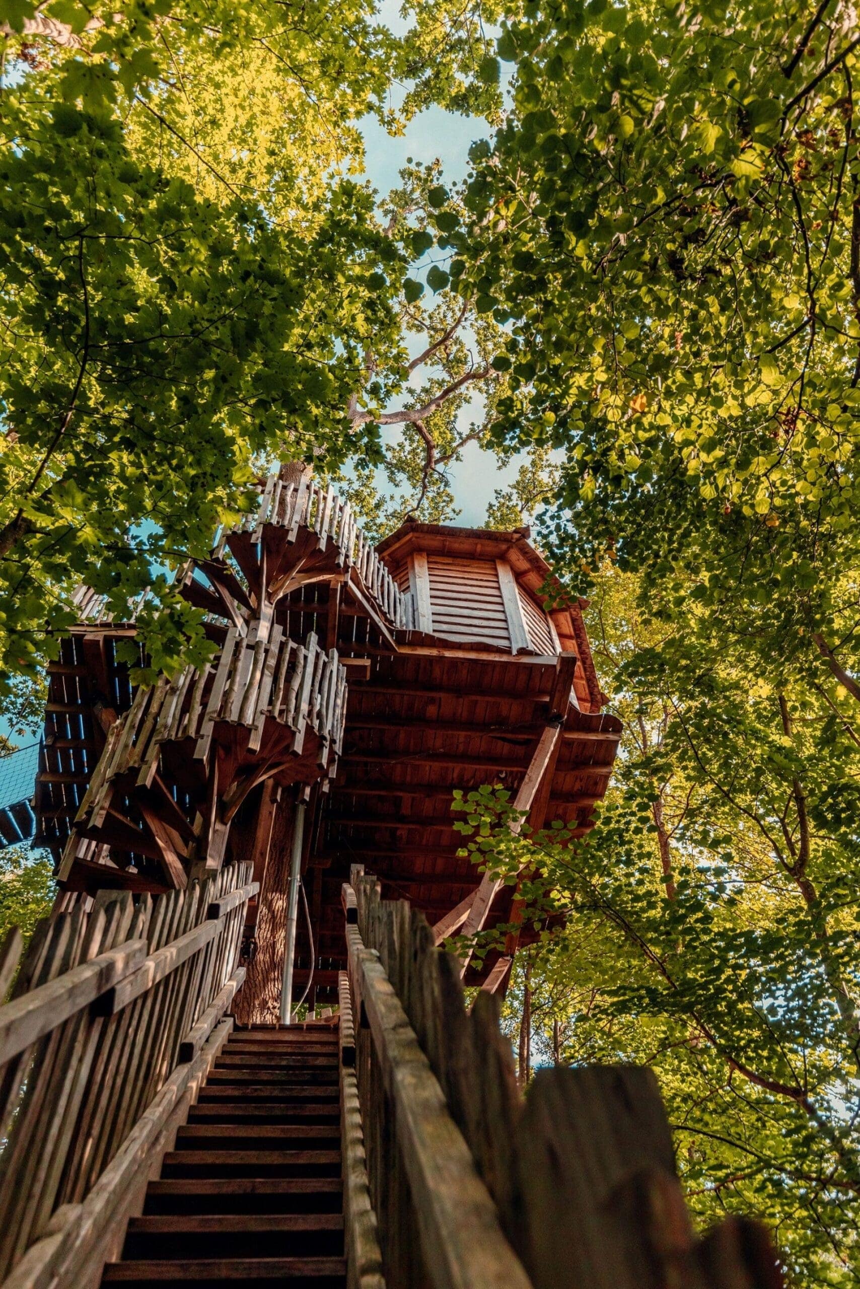 Cabane-Spa-Carpe-Diem-Cabanes-des-Grands-Chenes-elza_cyril-2