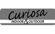 curiosa