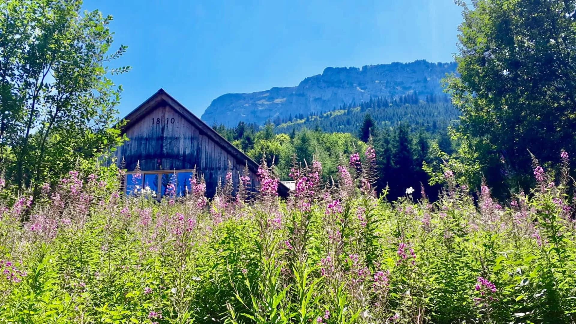 94bea2572140faafee5476cf6471a021