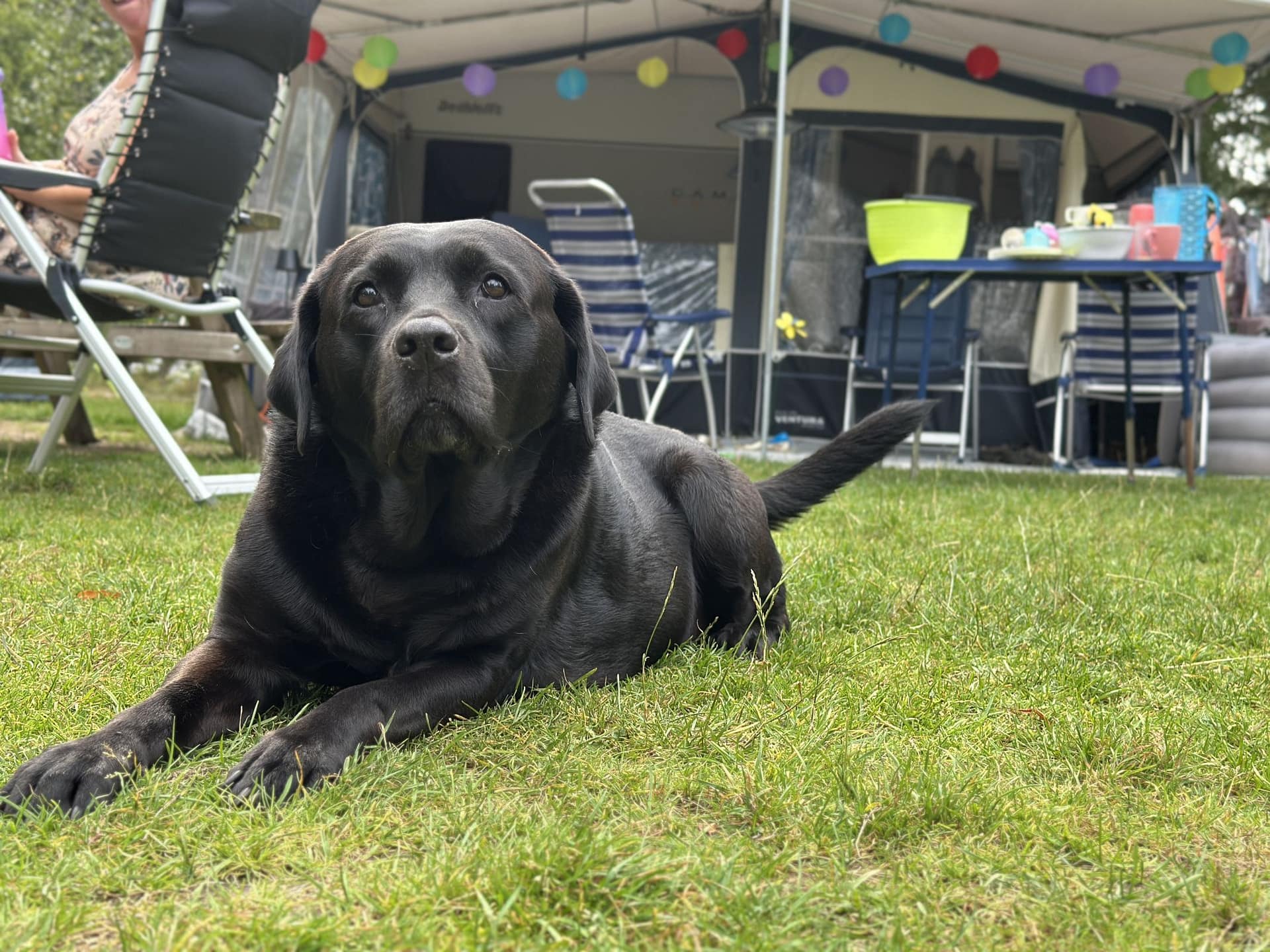 Camping-Overijssel-Ommerhout-14