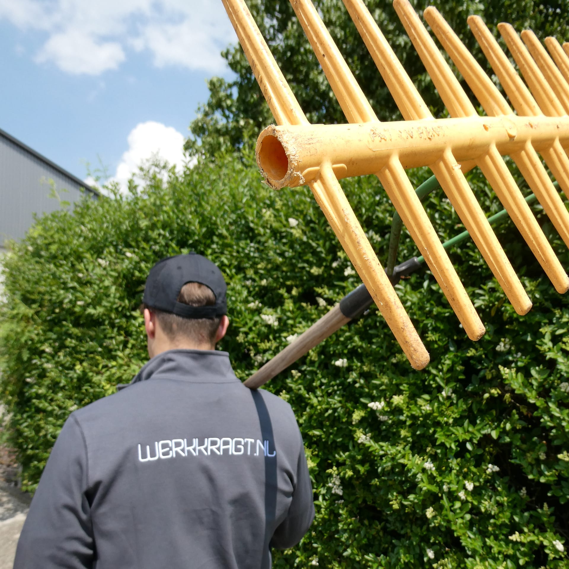Vacature hovenier en groenvoorziening in Overijssel en Drenthe
