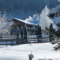 39408194-Original