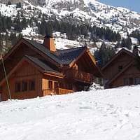 22658627-Original