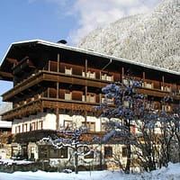 43799058-Original