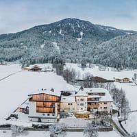 44945485-Original