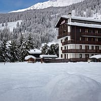 49912317-Original