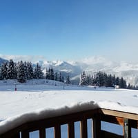 51036762-Original