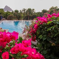 aW1hZ2VzLXR3ZC13aGl0ZWxhYmVsLXByZC9kZWpvbmdpbnRyYS9hSFIwY0hNNkx5OXBiV0ZuWlhNdVpHVnFiMjVuYVc1MGNtRXVibXd2WVhOelpYUXZhVzFoWjJVdllqTTFZakpoTjJZdE0yTmtOaTAwWWpnNUxUbGxZamd0T0RFMU9XSTFaVE5tTWpJMUwxY3ZTQQ