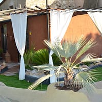 50173466-Original