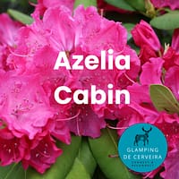 azalea-cabin-glamping-de-cerveira