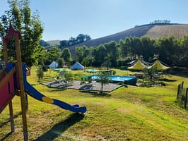 IMG_20240721_0806442