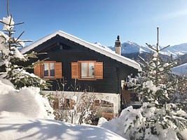 500x375-e3fd070f-96d6-4ed0-8254-5921fec88527