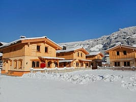 500x375-ebf11d06-473a-11ea-9417-901b0ebb33ae