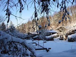 901362liggingwinter2