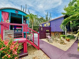 aruba-aruba-santa-cruz-mammaloe-tuinl-459775_6