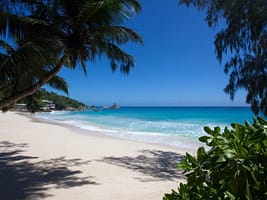 seychellen-mahe-mahe-anse-soleil-beachcomber-il-366683_1