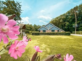 cover_Foto_17-06-2020_15_26_46_2