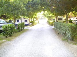 Digital Image