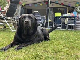 Camping-Overijssel-Ommerhout-14