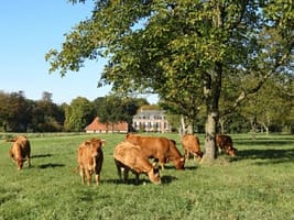 landgoed-zelle-vakantiehuis-03323f250a