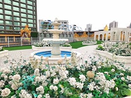 831e6ce91e4edccfdf1b3e152c41704f