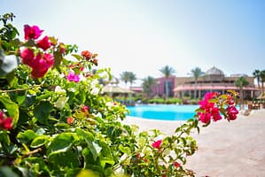 82bb3abed813aa892c2d5eb2d6368bb4