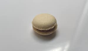 Macaron Hazelnoot
