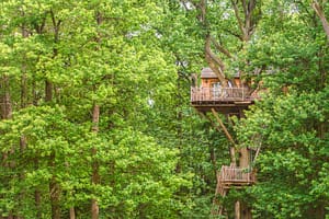 cabane_arbres-Imprenable_paris