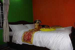 24d8c38542261bea3f3c9746ba94f89d022fd400