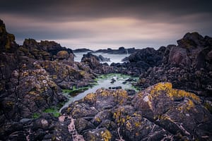 ballintoy-natuur