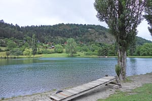 693980250f289