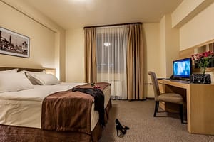 9d16b795484ed2c6c559f1c97d2703fe