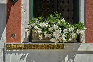 ac58a1e66edf81b3b36e69736218a021