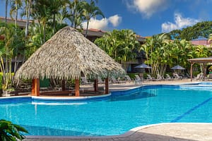 bf3b2d5a1a53f47f25e27e414857a665