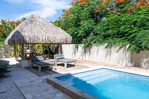 L1E13136A1W1600H1066