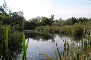 vakantiecomplex-de-kattenberg-vakantiehuis-winterswijk954799bad5