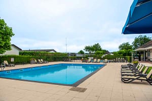 vakantiepark-de-woudhoeve-vakantiepark-noord-holland-egmond-aan-den-hoef-636d08da0903e