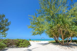 aHR0cHM6Ly9iMmRtYy53Mm0udHJhdmVsL2ltYWdlcy91cGxvYWQvaG90ZWxzLzQwMjI2LzY0MjcyODEzLmpwZw