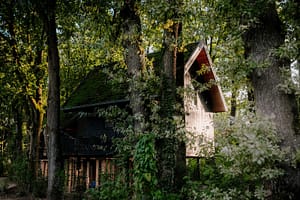 cover_Opening_Resort_Valley_Great_Things_161