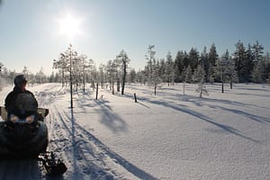 645b363bf14ca887bad3c7a8a1e3ed58