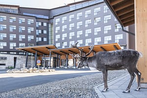 ee72af74409df25ec48e896c7aeba05a