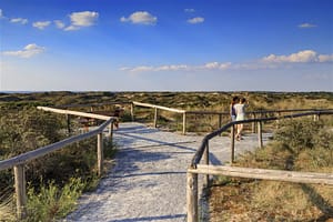 Haagse Strandhuisjes 