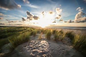Prachtige vergezichten tijdens je verblijf op een Roompot Vakantiepark