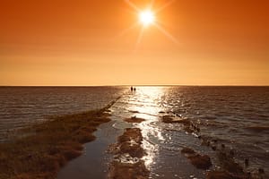 De Waddenzee