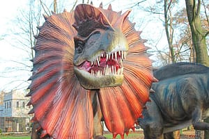 Dino Zoo in Metelen