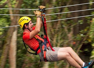 Hoogtepunten in klimpark Zips&Ropes