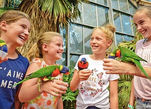 Exotische vogels bekijken in Vogelpark Avifauna