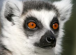 Dierenpark De Oliemeulen