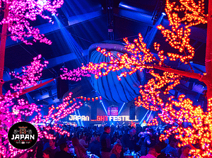 Japan Light and Food Festival in Zaandam
